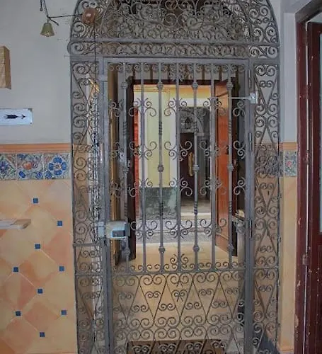 Penthouse With Large Terrace In Center Of *