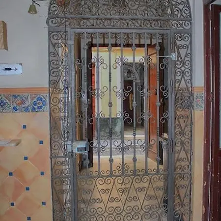 Penthouse With Large Terrace In Center Of *