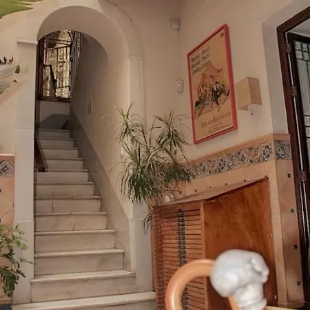 Penthouse With Large Terrace In Center Of *