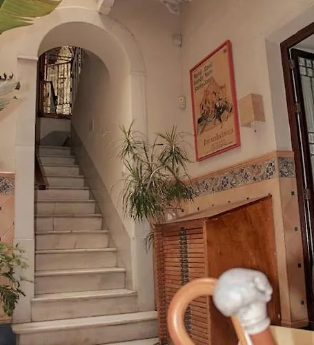 Penthouse With Large Terrace In Center Of *